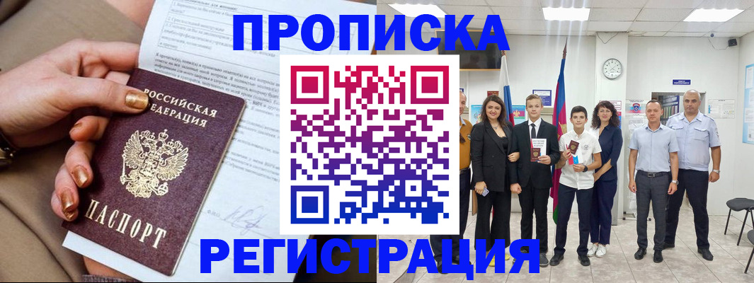 прописка поиск в Сольцах